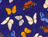 This fabric is called Sunny Fields Butterflies and is covered with white, yellow, orange and blue butterflies.