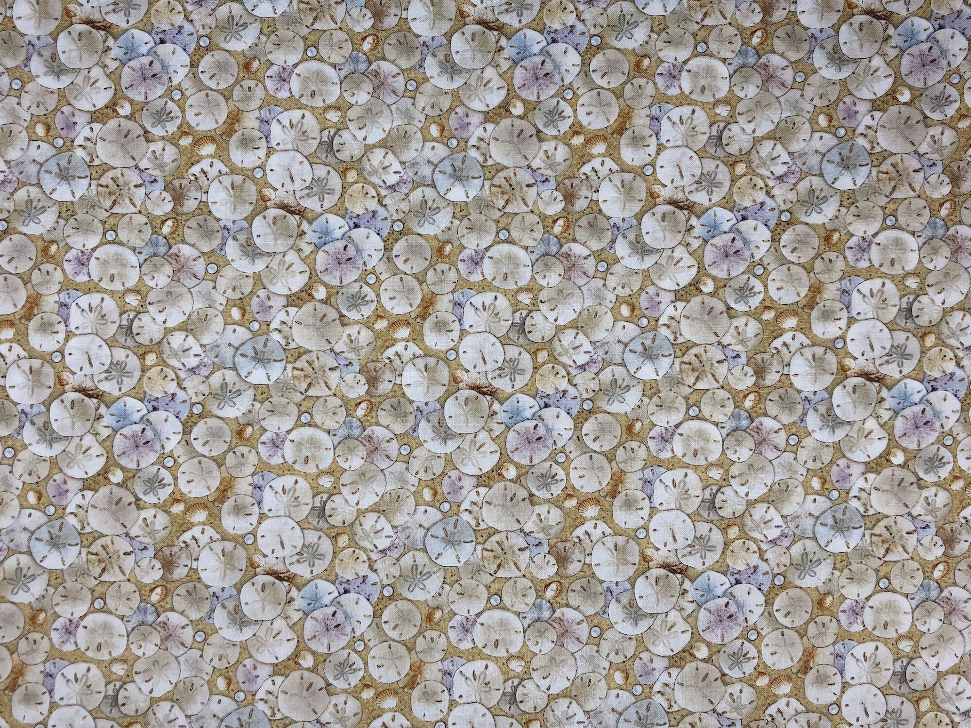 This fabric is part of the Landscape Medley collection. This tan fabric is covered with sand dollars