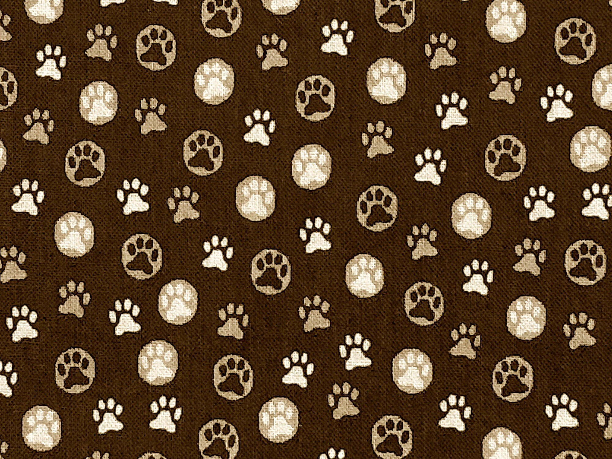 Close up of white, beige and brown paw prints.