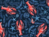 Close up of lobsters and starfish on a blue background.