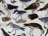 Close up of birds