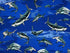 This fabric is called Royal Sharks. This blue fabric is covered with sharks that are swimming.