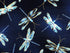 Close up of dragonflies on blue.