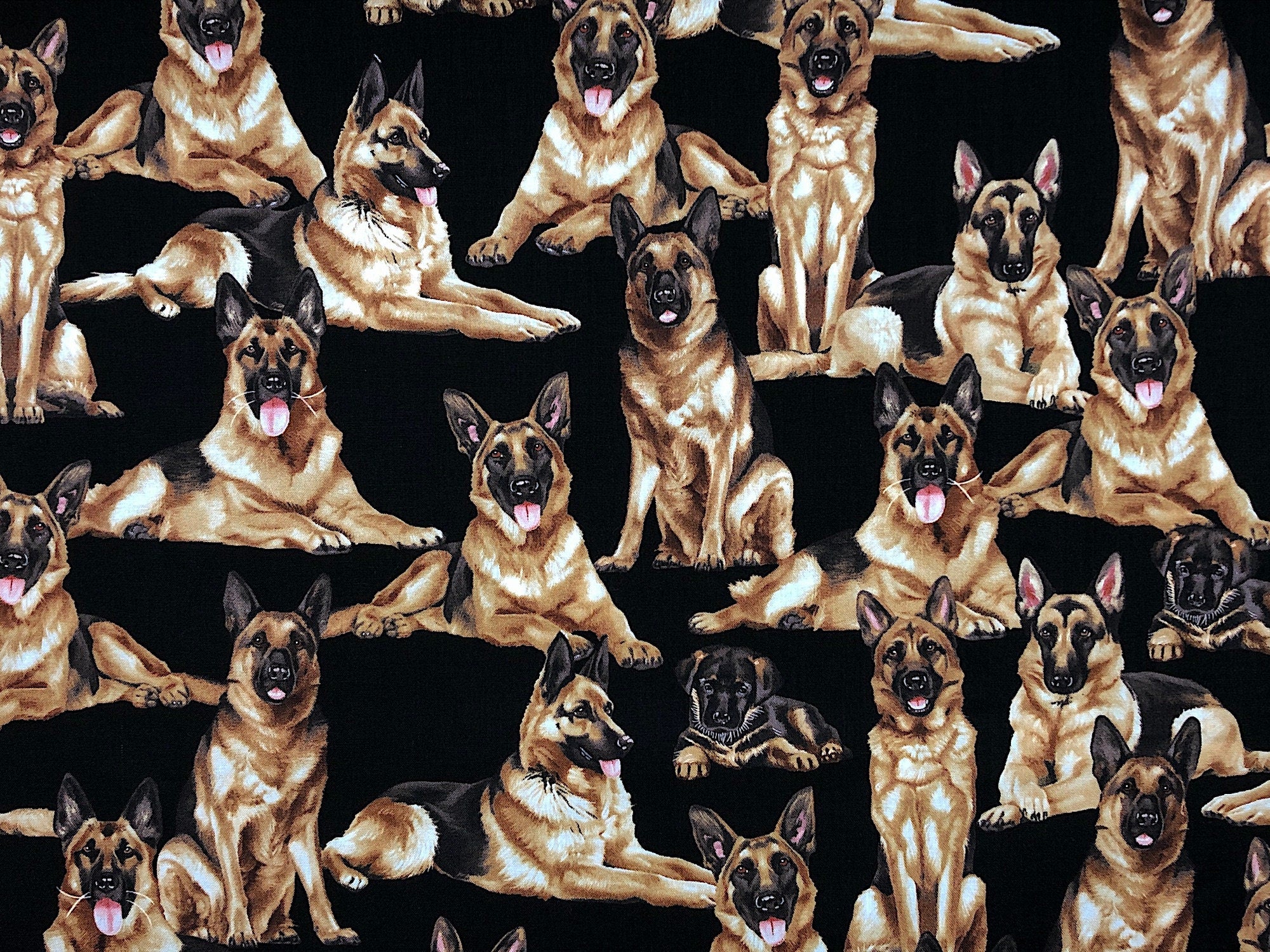 This black fabric is a covered with German Shepherds. The Shepherds are in different poses, some are sitting, some are laying down.