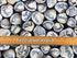 Seashell Fabric - Words on Seashells - Cotton Fabric - Quilting Fabric - Timeless Treasures - NAU-88