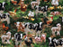 Cotton fabric covered with cows, sheep, pigs, ducks, roosters and more.