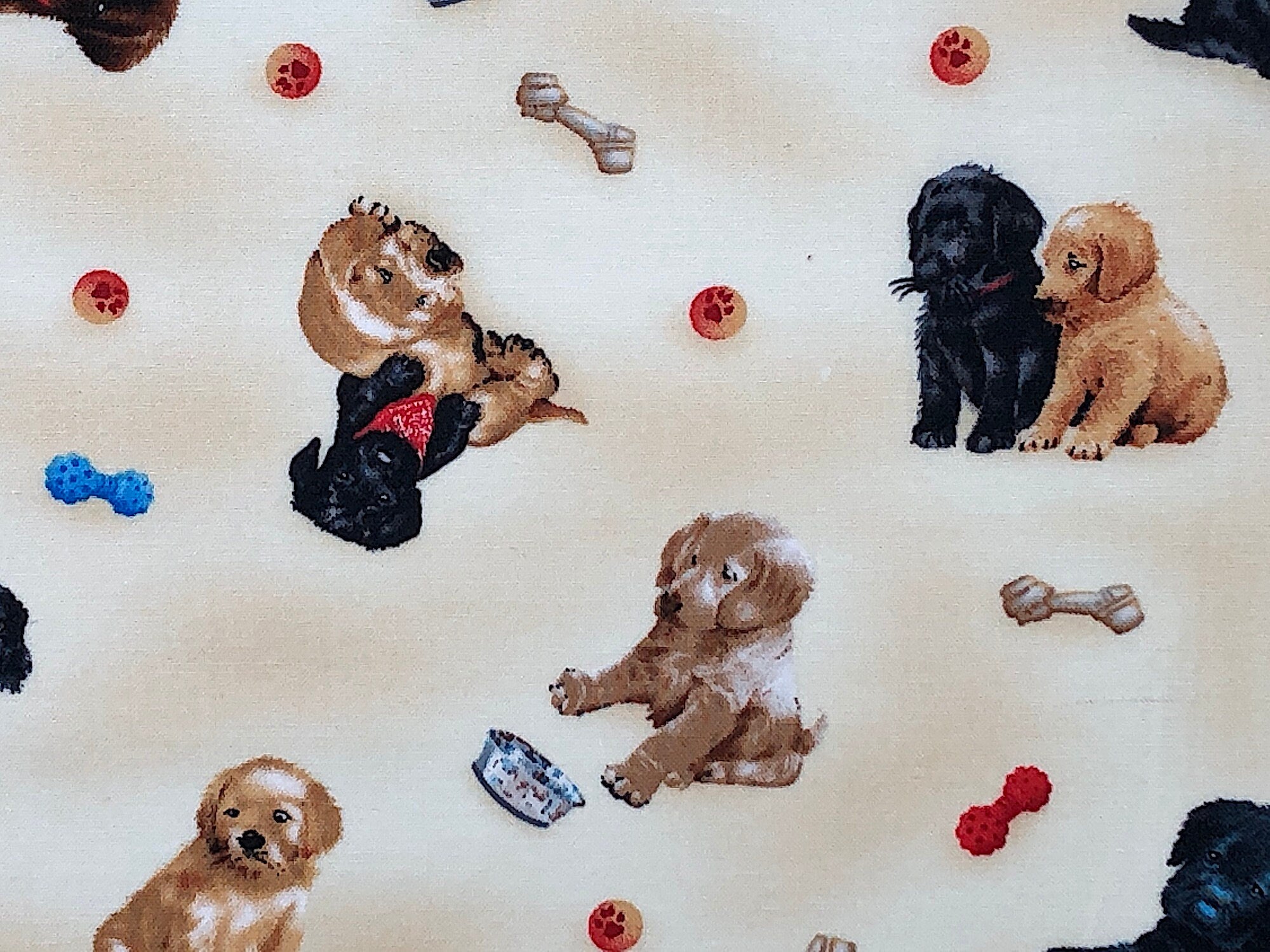 Close up of puppies, bones, dog dishes and paw prints.