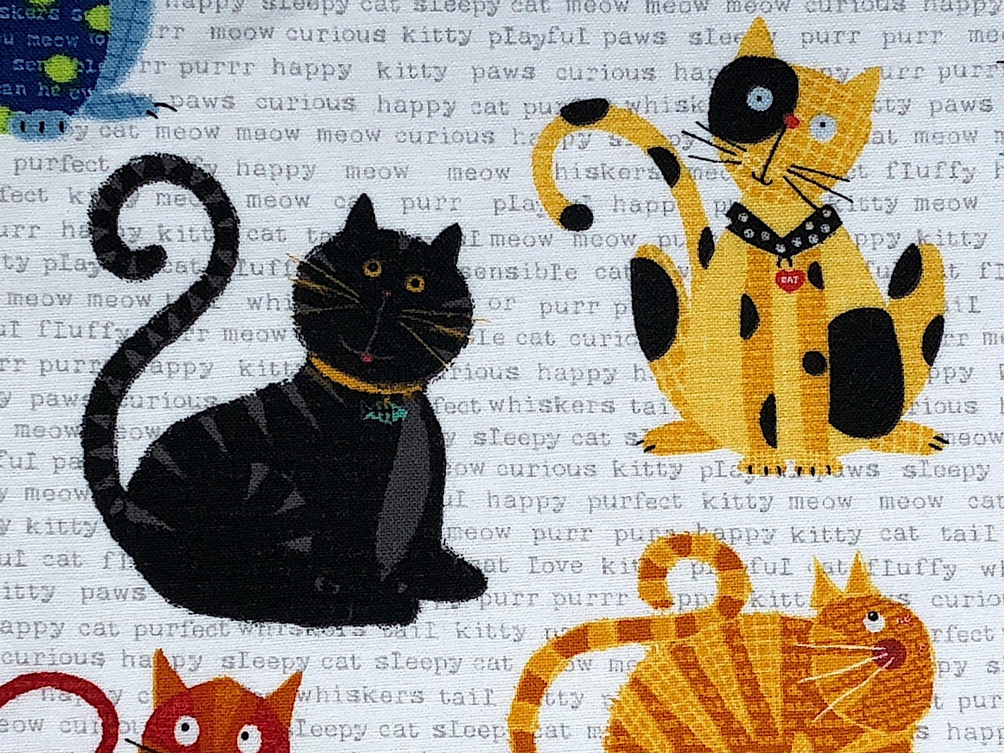 Close up of a black cat and a yellow cat with black spots.