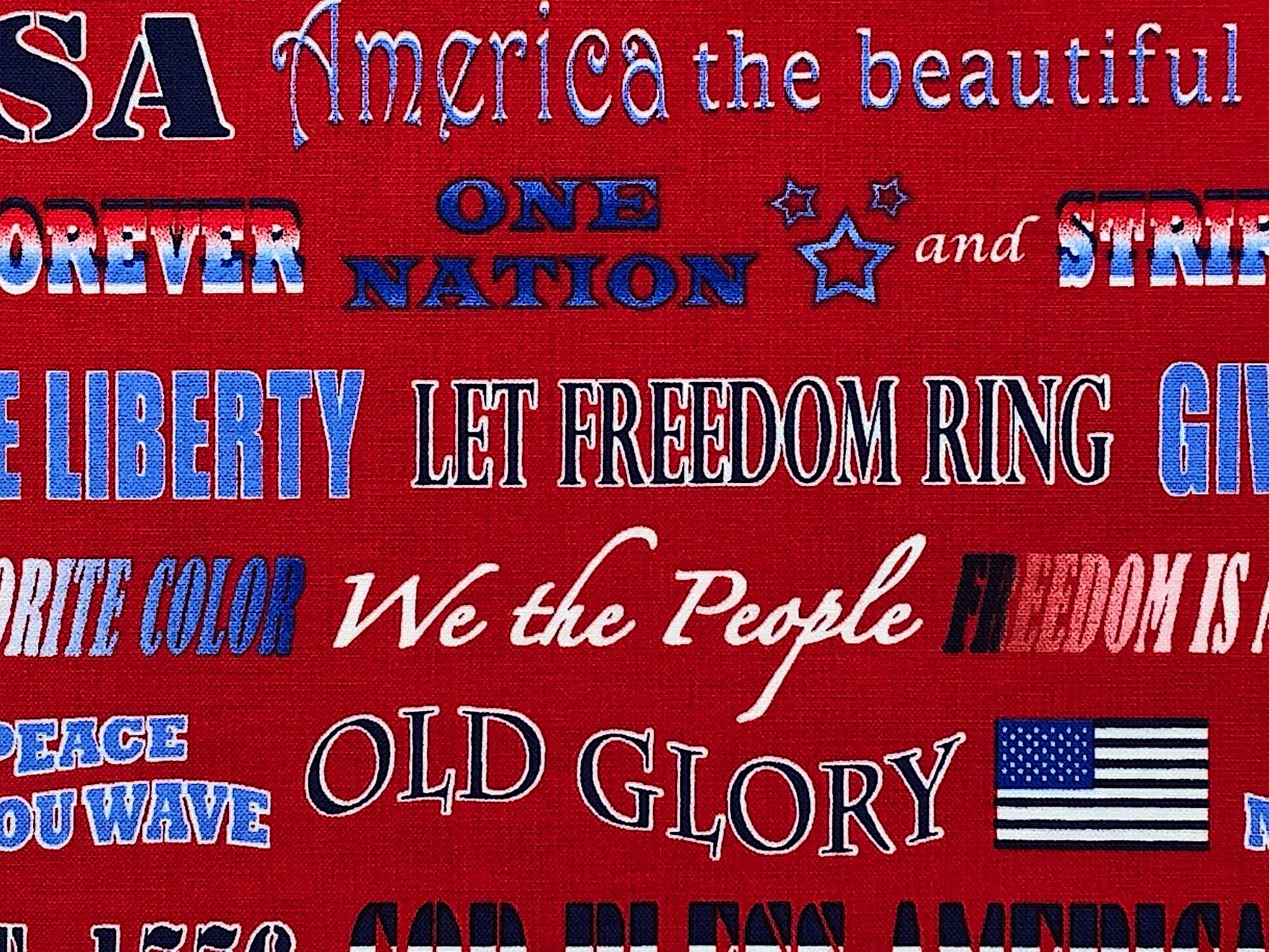 Close up of Patriotic sayings such as we the people, old glory, let freedom ring and more.