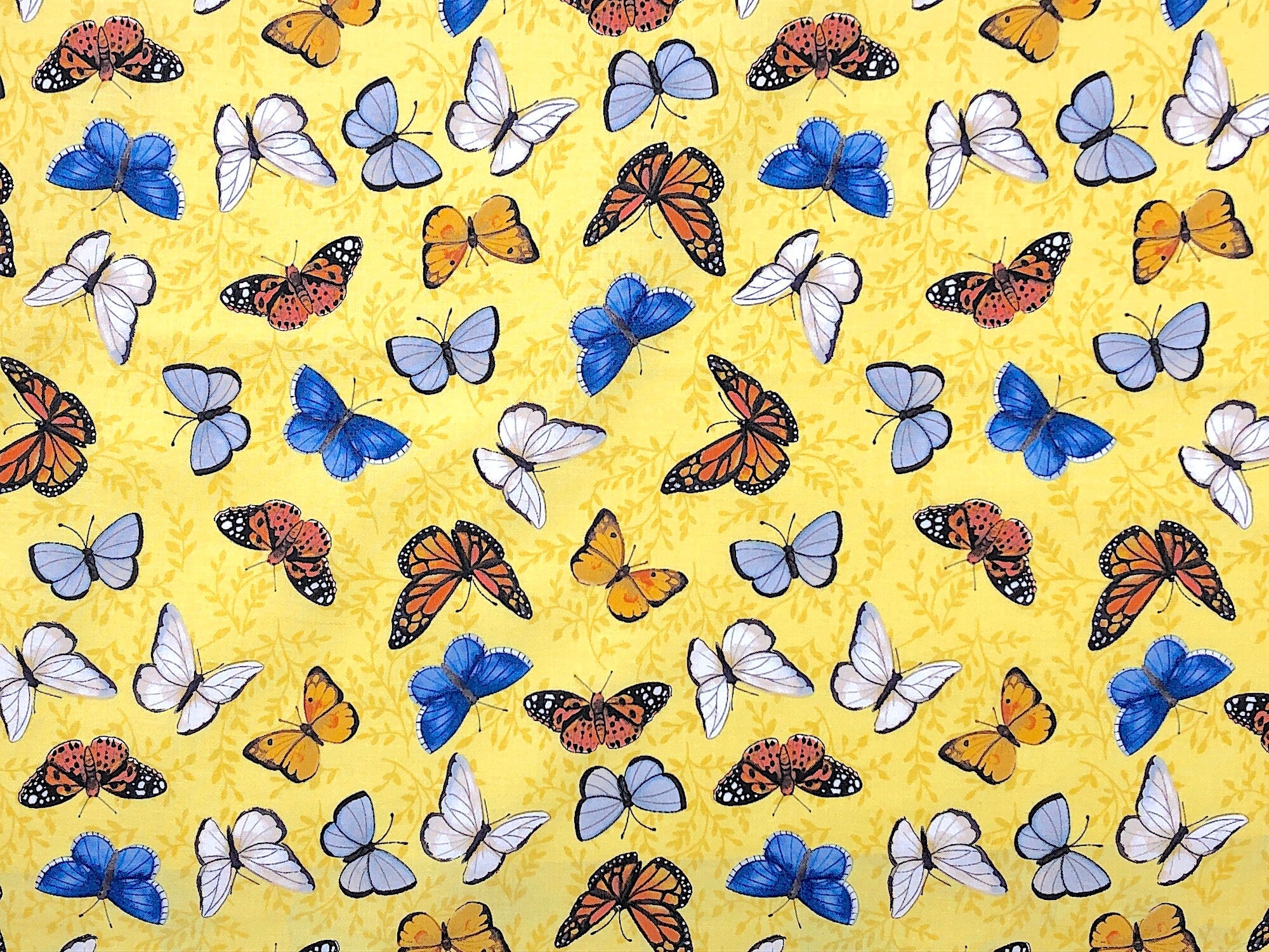 This yellow cotton fabric is covered with butterflies. The butterflies are blue, white, yellow and orange. This fabric is part of the Sunny Fields collection.