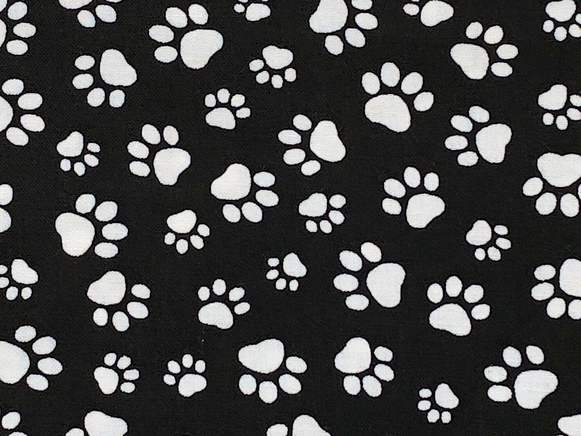 Close up of white paw prints.