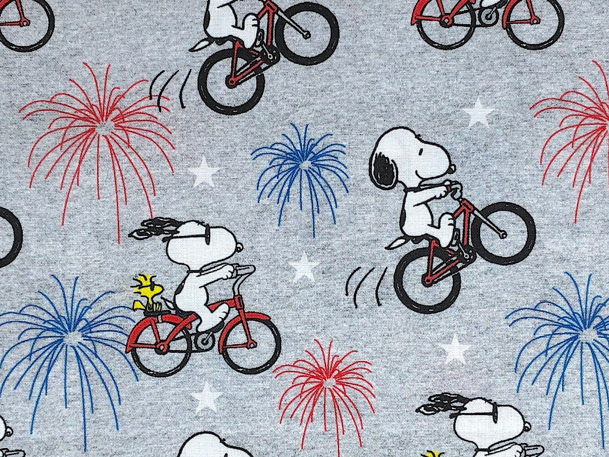 Close up of Snoopy riding a bike with Woodstock.