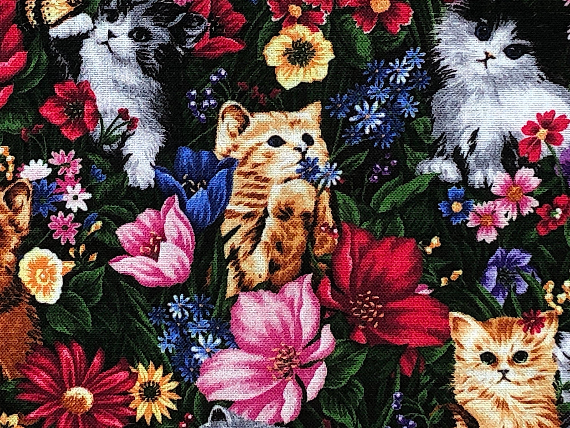 Close up of cats and flowers.