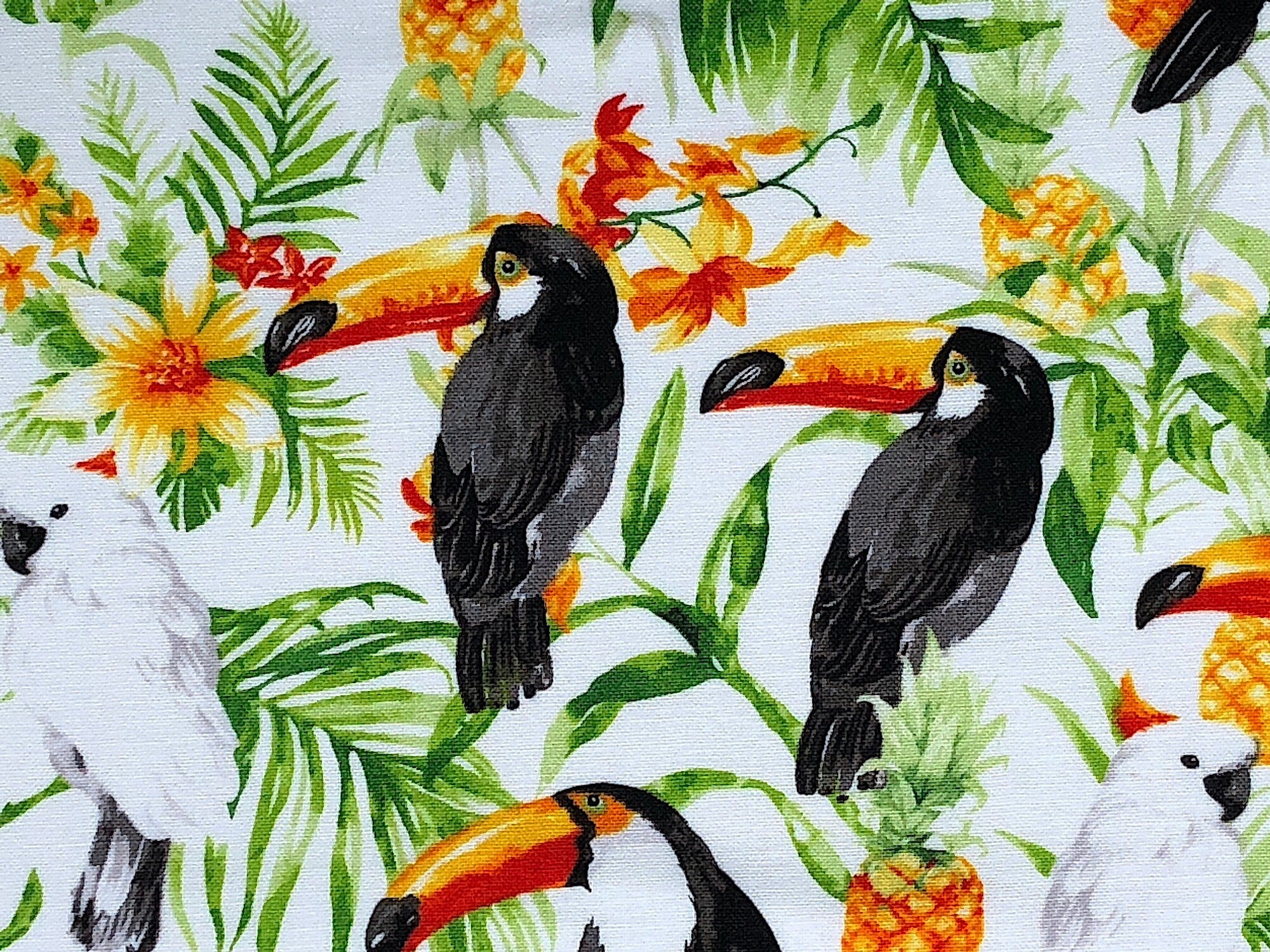Close up of tropical birds.