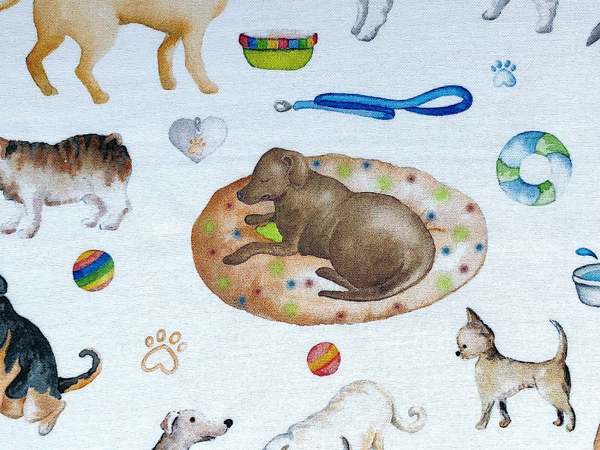 This white fabric is covered with Dalmatians, Labs, Shepherds and other breeds of dogs, dog bones, dog houses and dog toys. This fabric is part of the Think Pawsitive collection designed by Andi Metz.