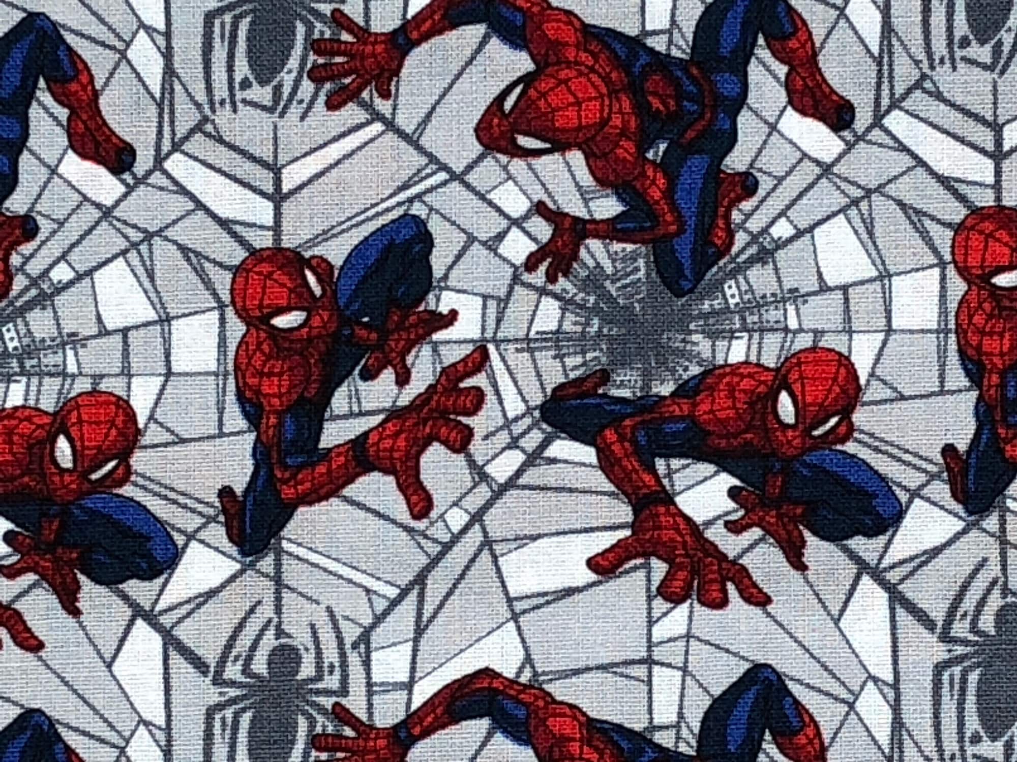 This fabric is a called Spider Man Web Crawler. The webs are grey and white and spider man is crawling all over them