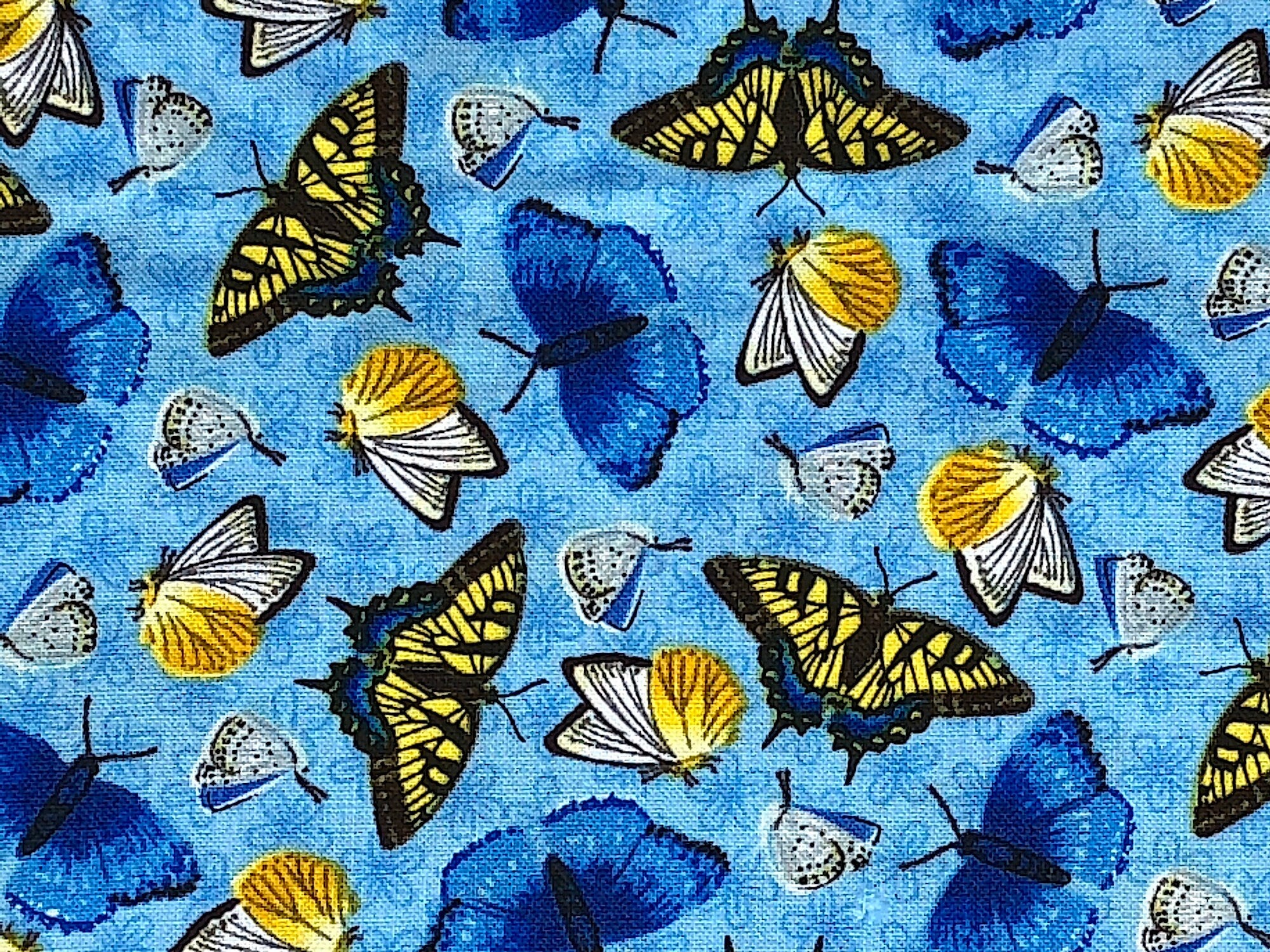 Blue, yellow and white butterflies on a blue background.