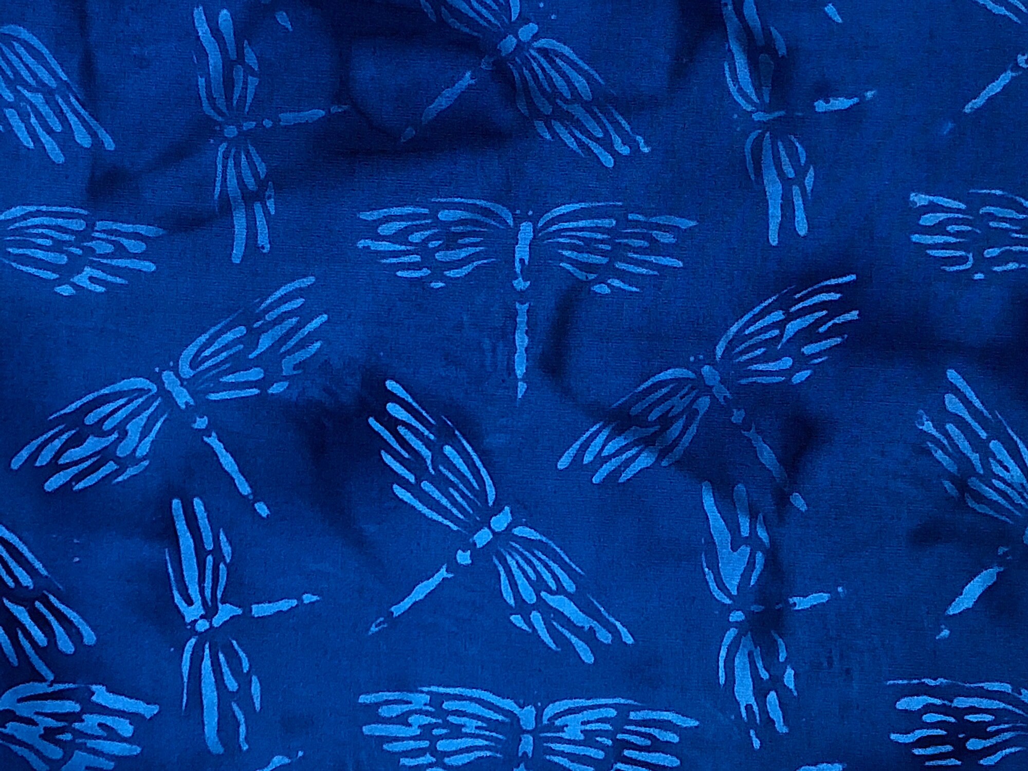 Close up of dragonflies on a blue background.
