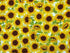 This fabric is covered with yellow sunflowers with brown centers and green leaves. This packed sunflower fabric is part of the Sunny Sunflowers Collection.