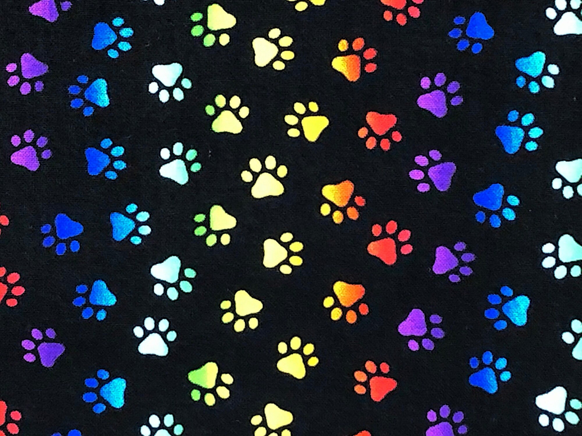 Close up of blue, purple red, yellow and green paw prints.