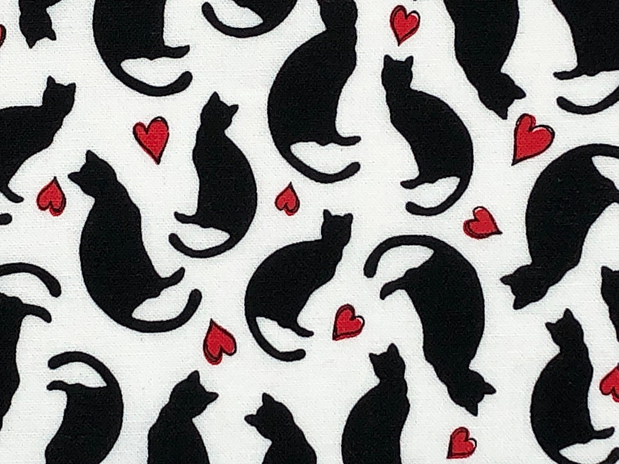 Close up of back cats and red hearts on a white background.