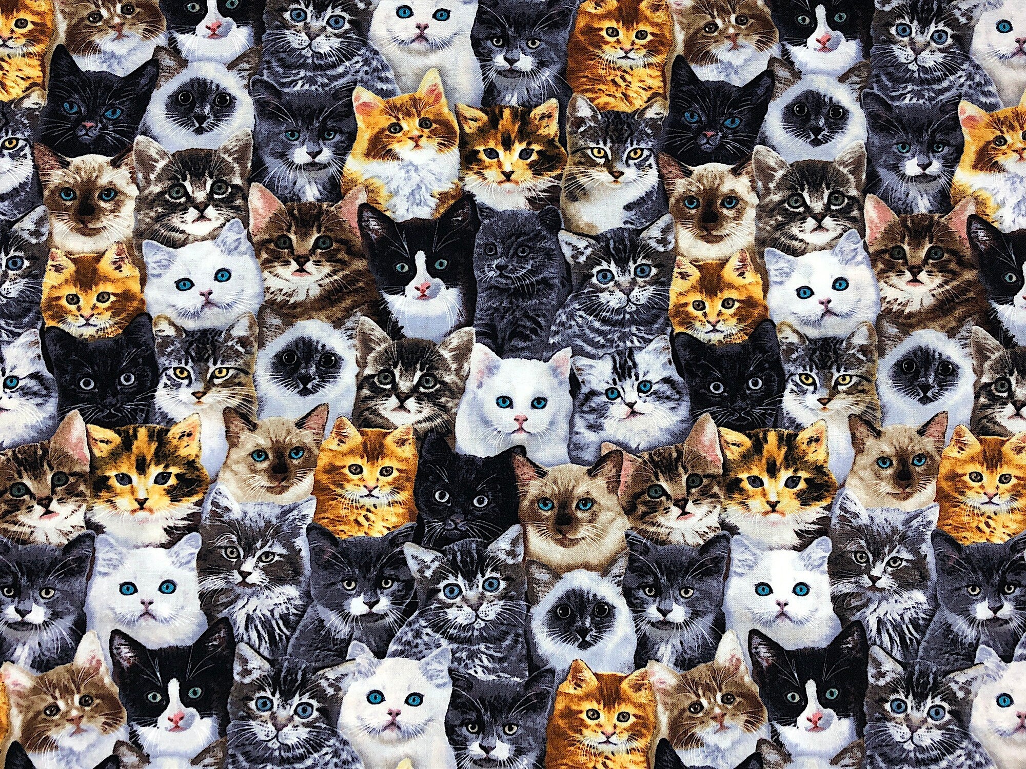 This fabric is called Packed Mixed Breeds of Cats and is covered with white, black, brown and orange cats