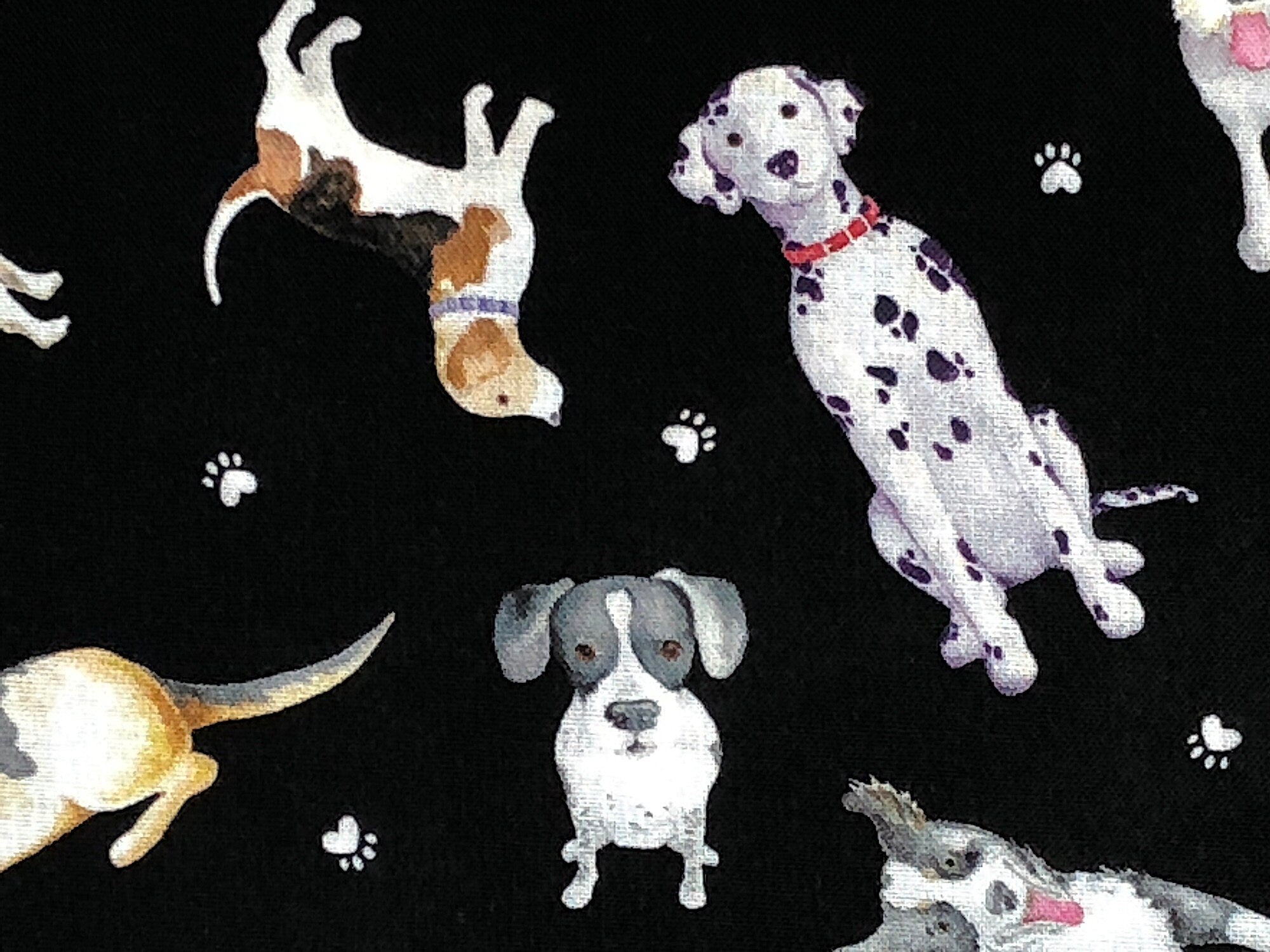 This black fabric is covered with dog breeds and small paw prints This fabric is part of the Think Pawsitive collection designed by Andi Metz.