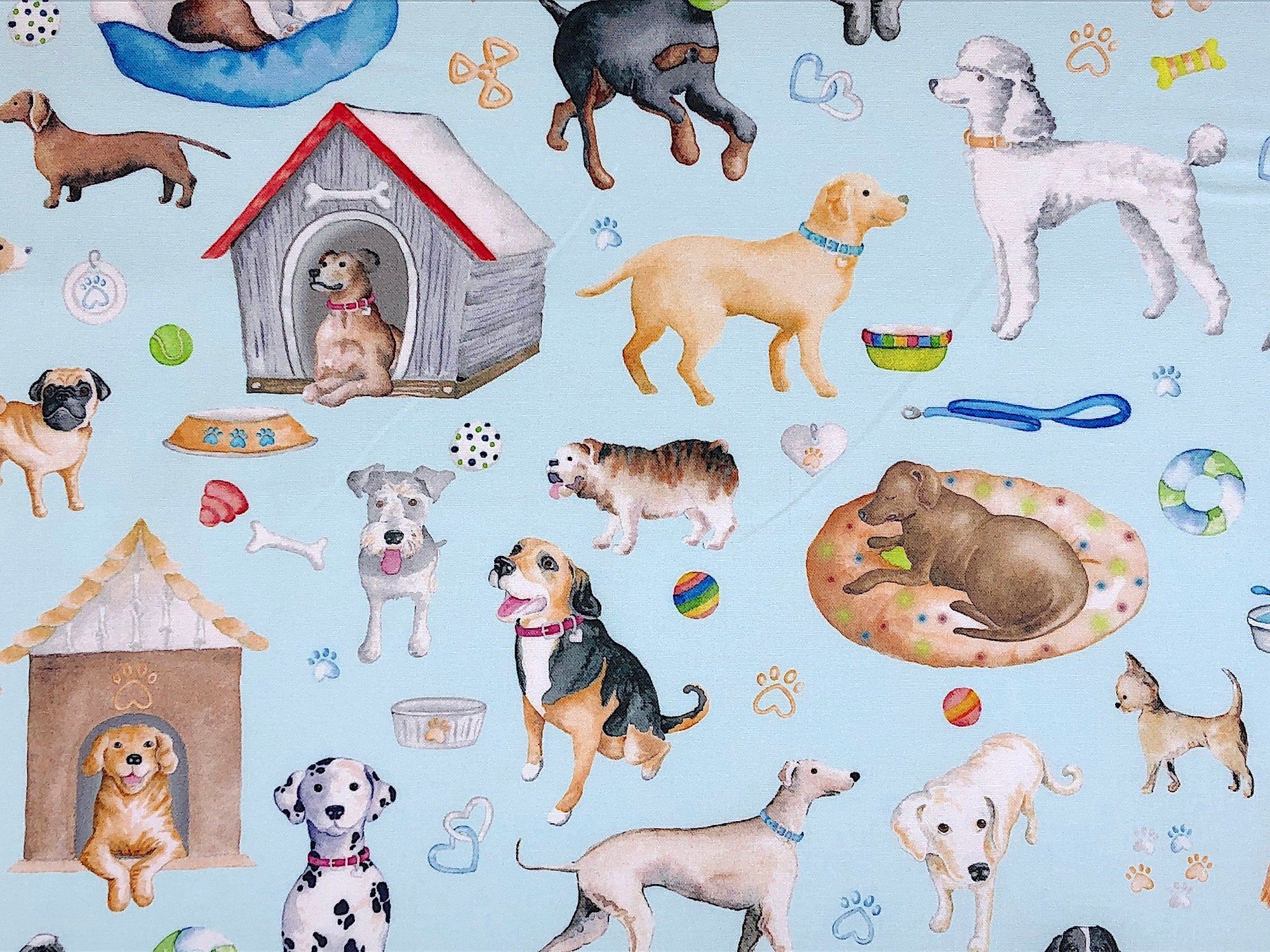 Light blue cotton fabric covered with dogs, dog houses, dog beds, collars and toys.