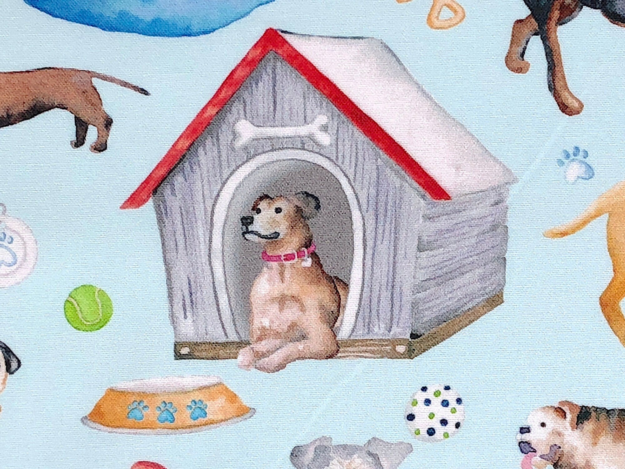 Close up of a dog in a dog house.