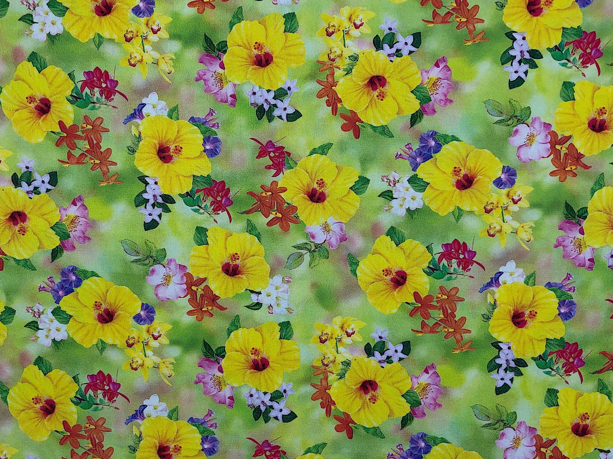 Part of the Hummingbird Garden collection this fabric is covered with yellow hibiscus. You will also find fuchsias and dogwoods