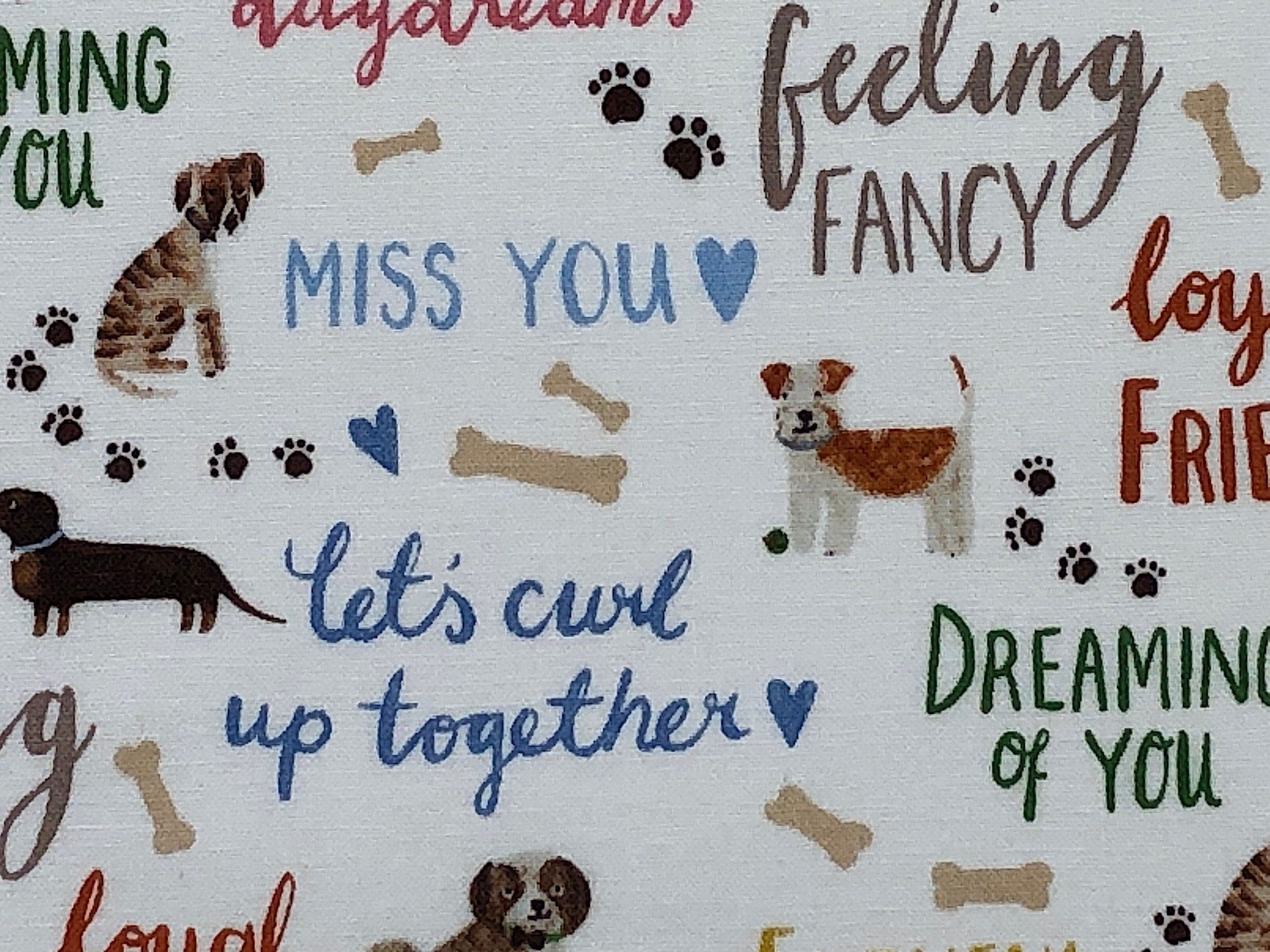 Close up of dog sayings such as lets curl up together and miss you.