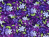 This dark purple fabric is covered with purple and lavender clematis and green leaves. This fabric is part of the Trellis collection by Clothworks.