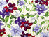 This white fabric is covered with purple, lavender and red clematis. This fabric is part of the Trellis collection by Clothworks.