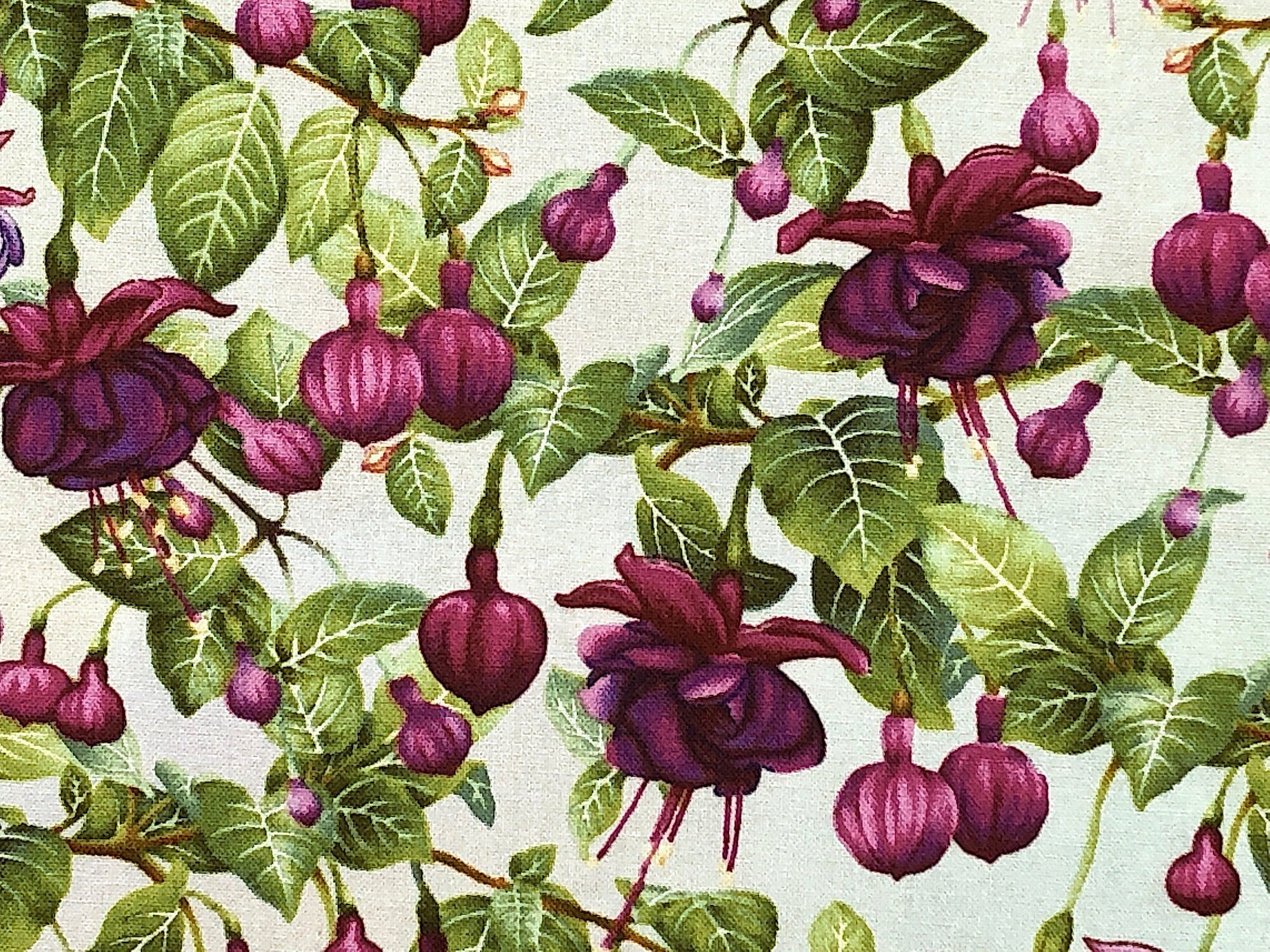 Here is a pretty cotton fabric of Blooming Fuchsias. The Fuchsia flower buds are shades of purple, pink and red with green leaves. The background is light tan, with shades of green and red throughout.