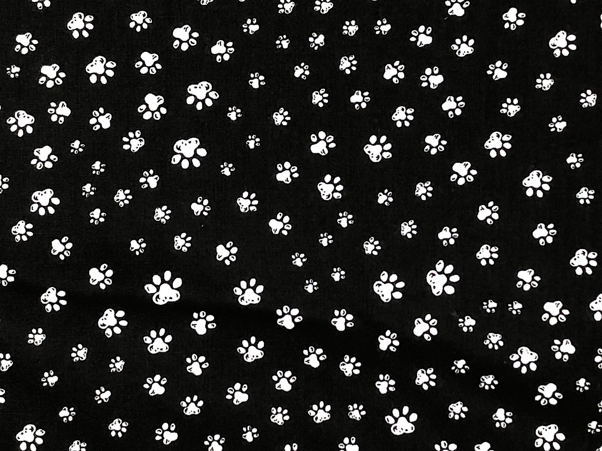 Close up of white paw prints on a black background.