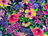 Here is a fabric from the "Hummingbird Heaven" collection. This one is covered with Large Bold Flowers including Hibiscus & Iris. One of the other flowers is some kind of a Bell Flower. The background is a dark Blue (Navy)