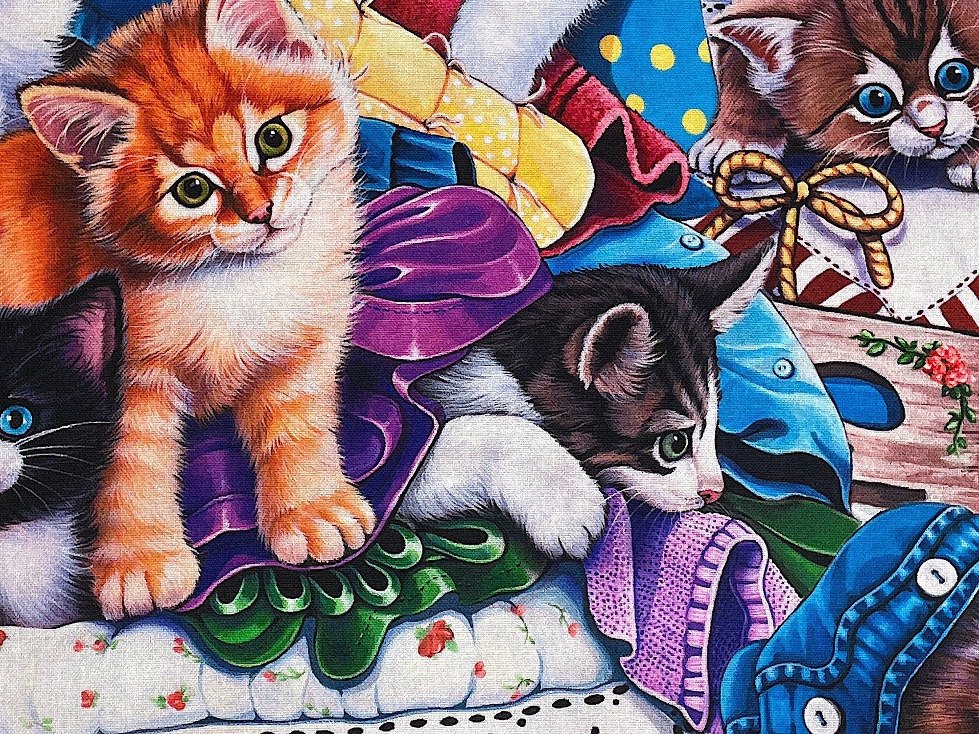 Close up of 2 cats and quilts.
