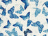 Close up of blue butterflies on a white background.