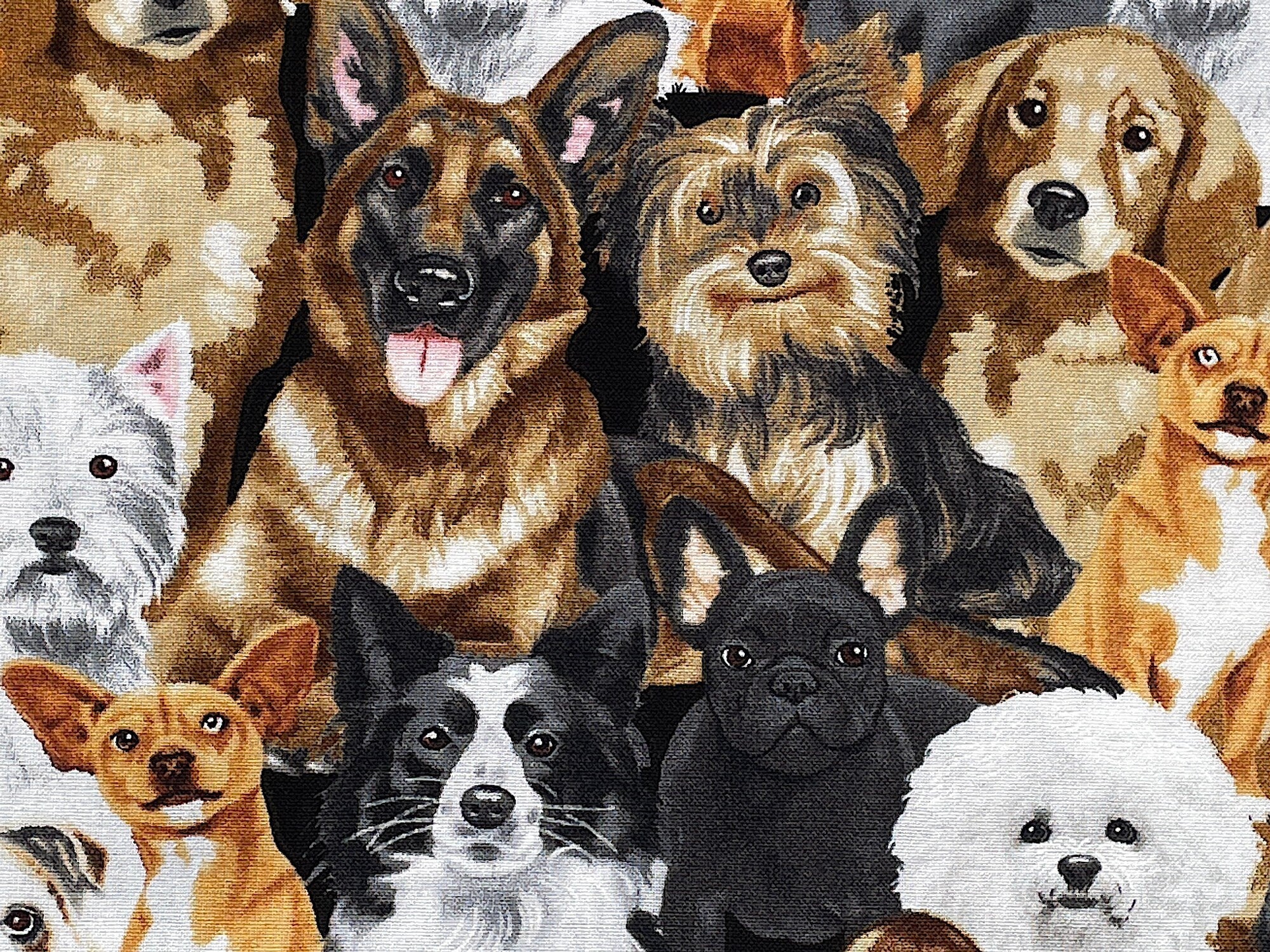 Cotton fabric covered with Yorkshire Terroirs, Labs and other breeds of dogs., 