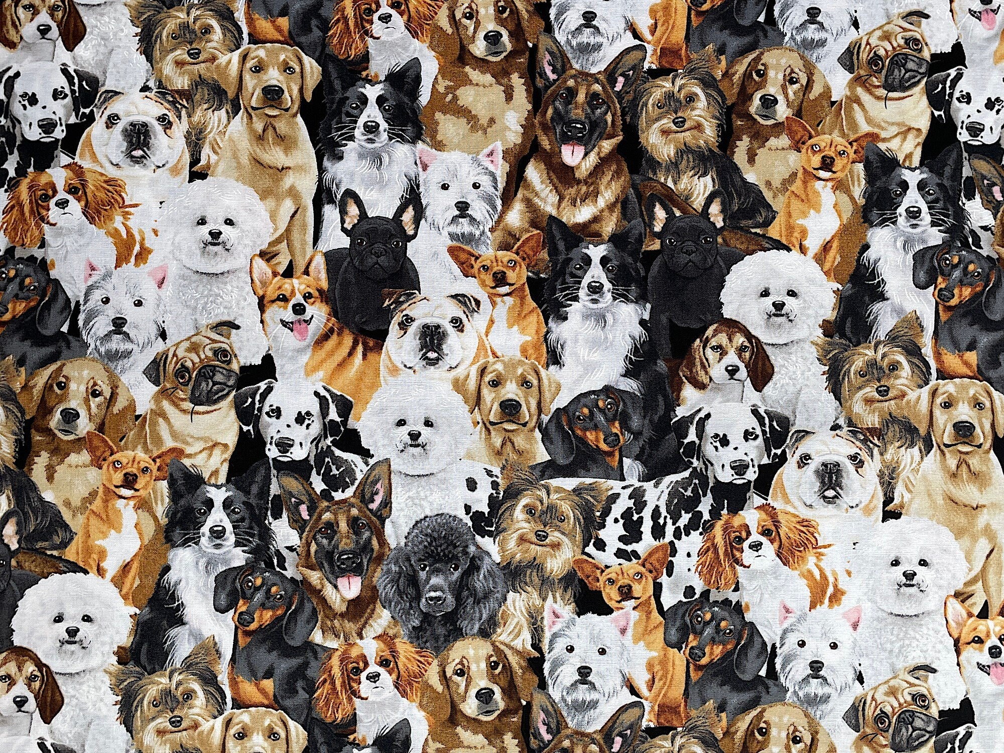 Cotton fabric covered with several breeds of dogs such as labs, collies, pugs and more.