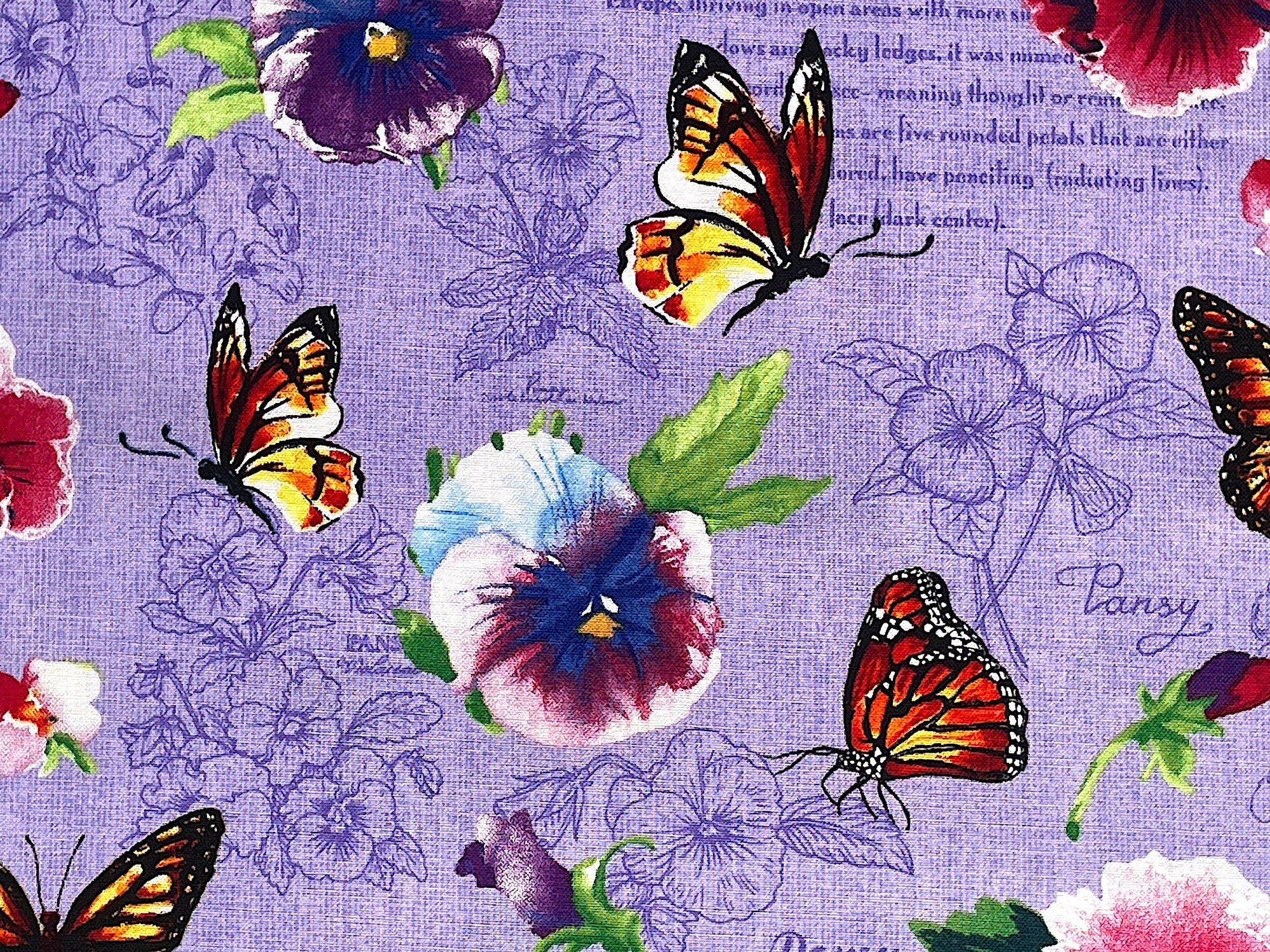 Close up of pansies and butterflies.