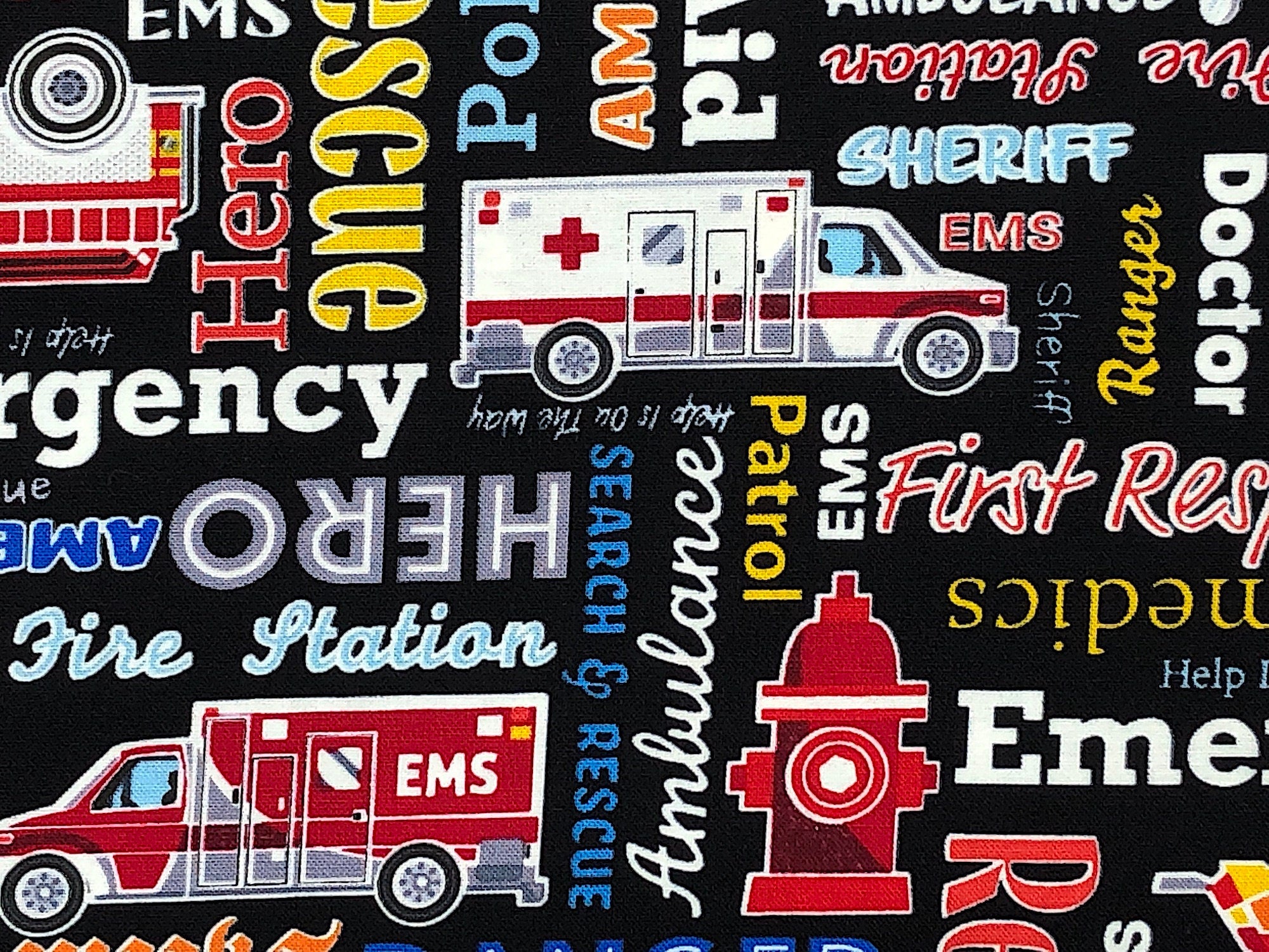 Close up of an ambulance, fire hydrant and ems truck.