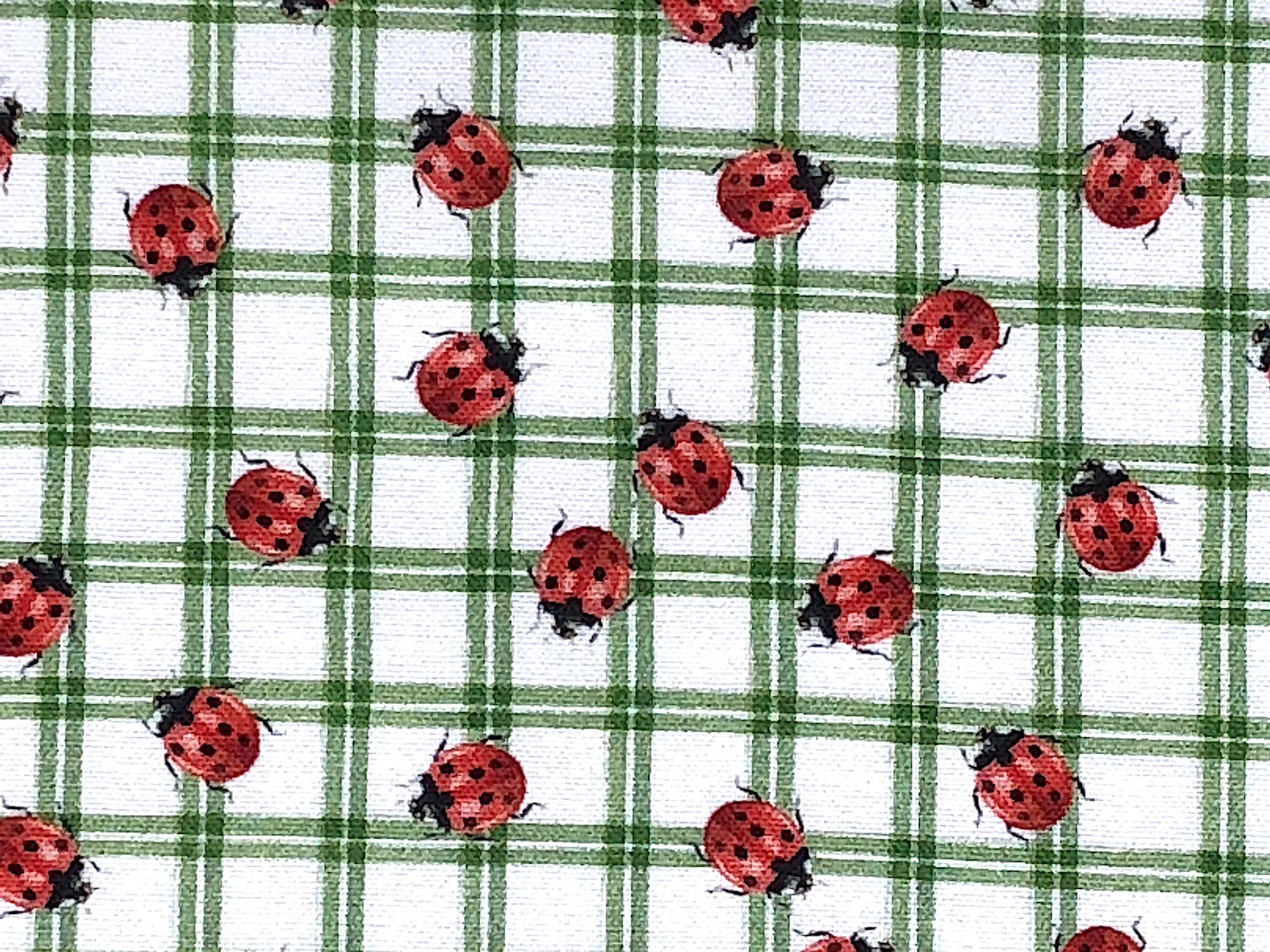 Close up of red ladybugs with black dots on a white and green background.