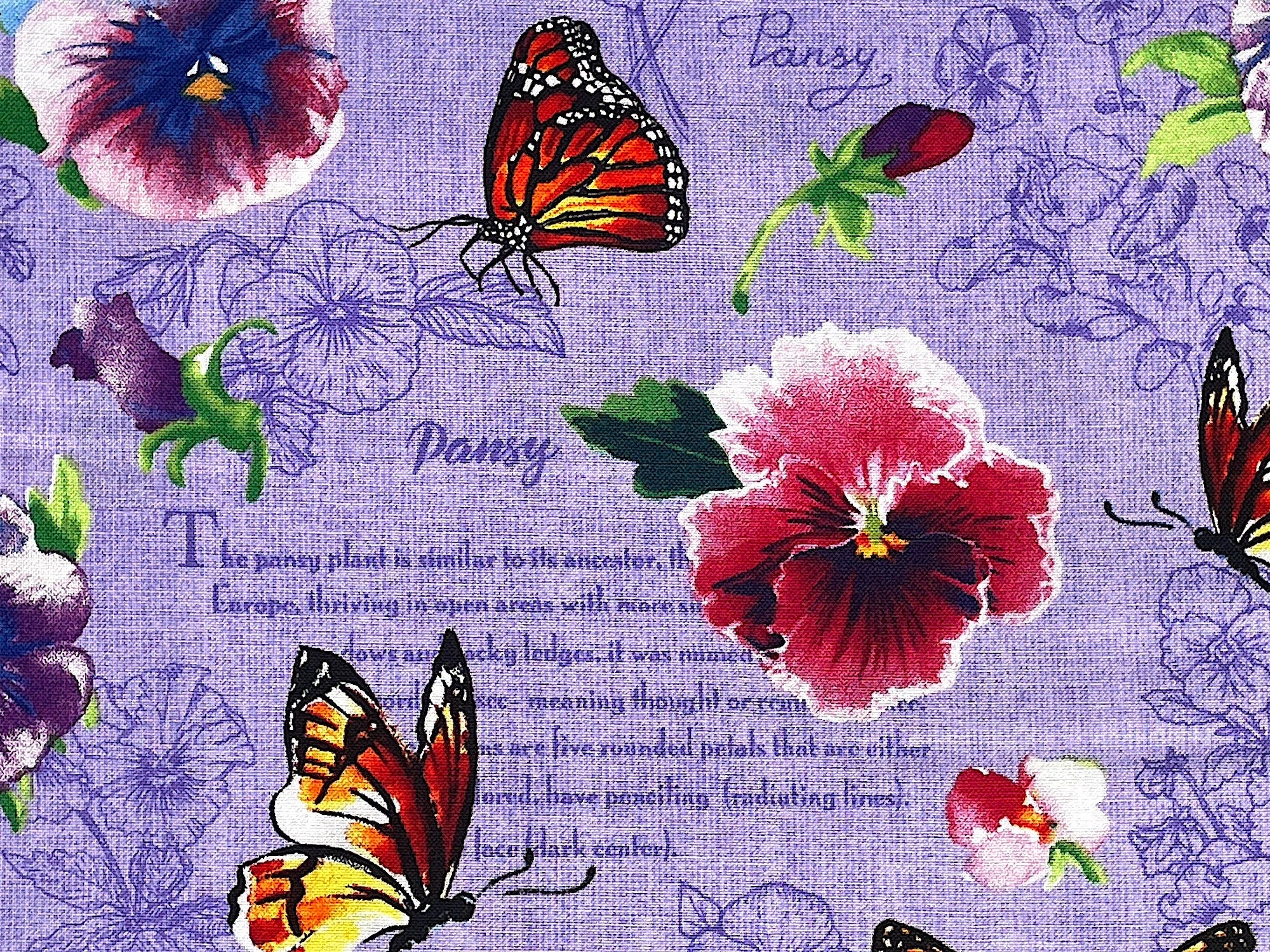 Close up of pansies and butterflies on a lavender background