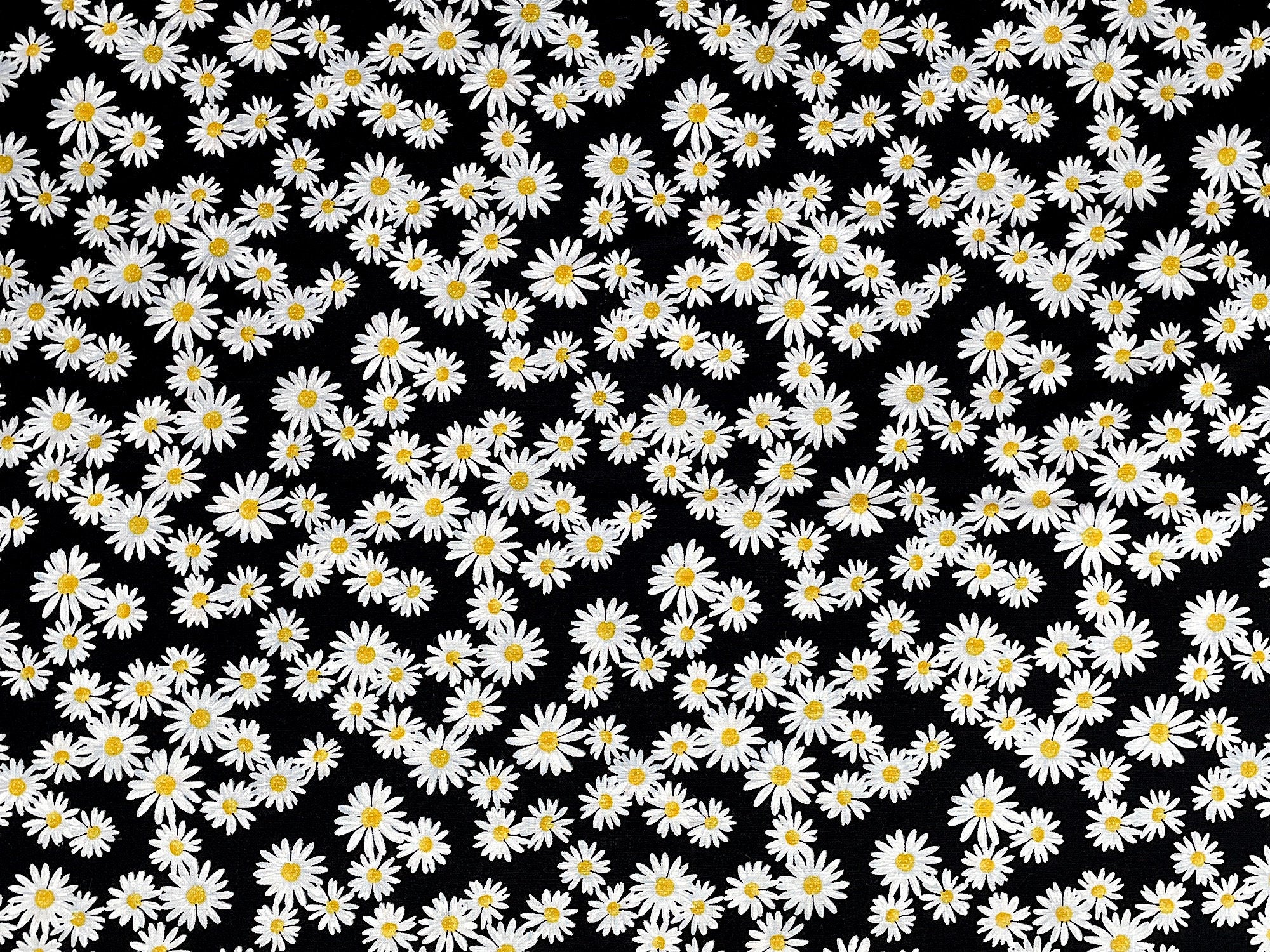 White Daisies with yellow centers on a black background. This fabric is part of the Daisy Delight collection by Kanvas Studio