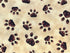Close up of brown paw prints.
