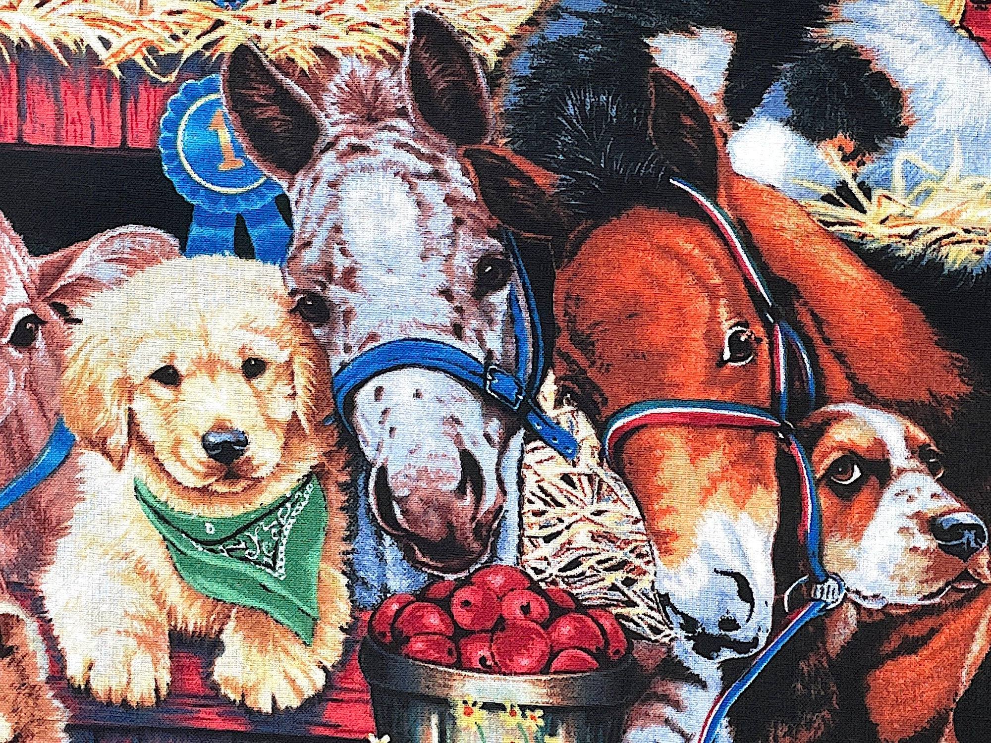 Close up of dogs and horses.