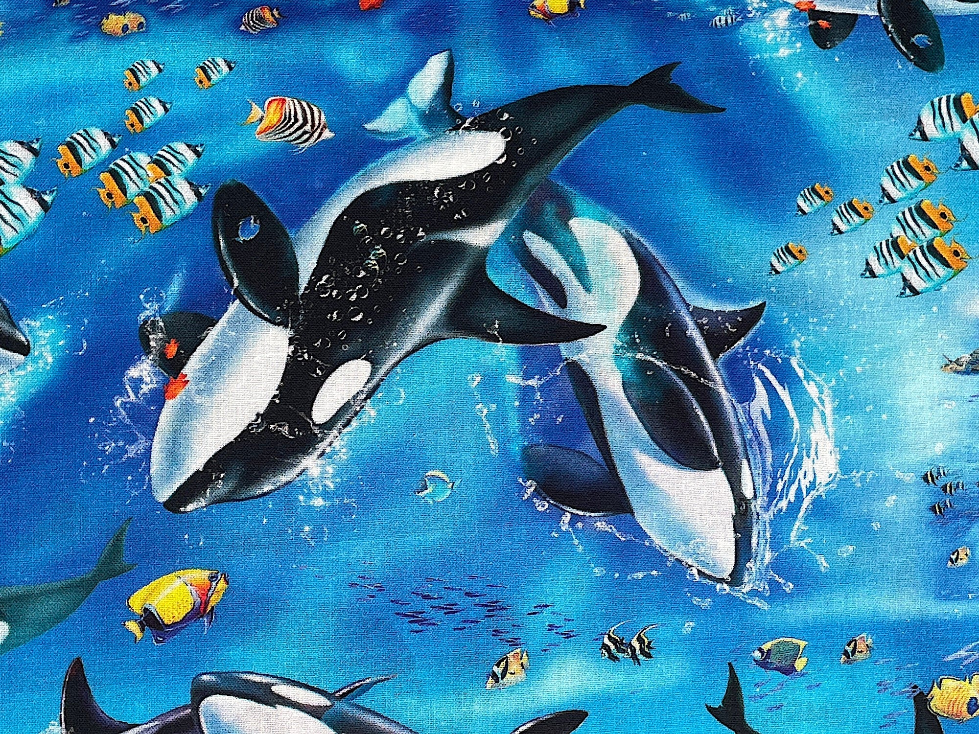 Big Bold Diving Whales. This Fabric is designed by Lorenzo Tempesta for Studio E Fabrics. It is a beautiful sea life representation of Whales and fish in the ocean.