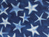 Close up of starfish on a dark blue background.