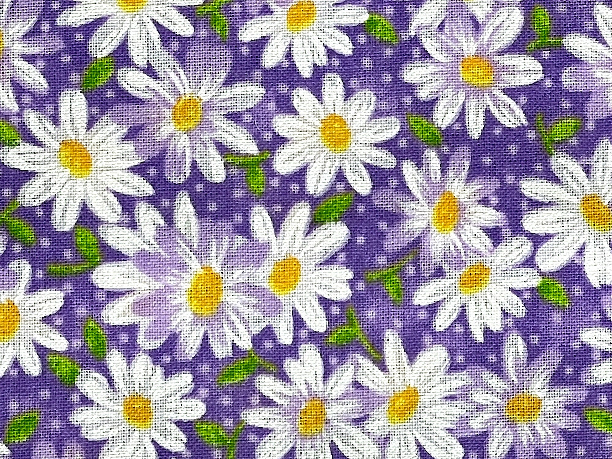 White Daisies with yellow centers on a purple background